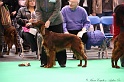 Crufts2011 312